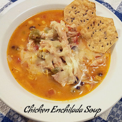 Chicken Enchilada Soup