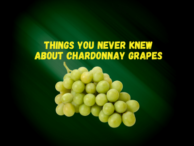 Eight Things You Never Knew About Chardonnay Grapes