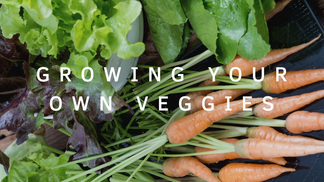 The Ultimate Guide to Growing Your Own Veggies Tips and Tricks